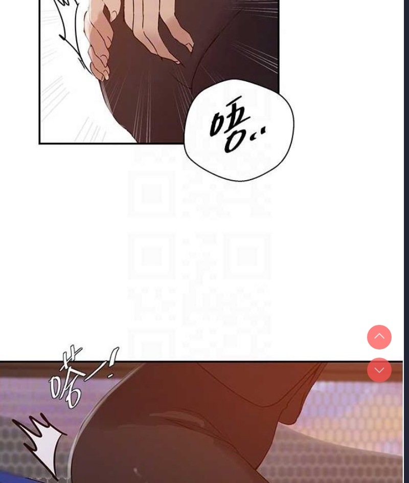 秘密教学