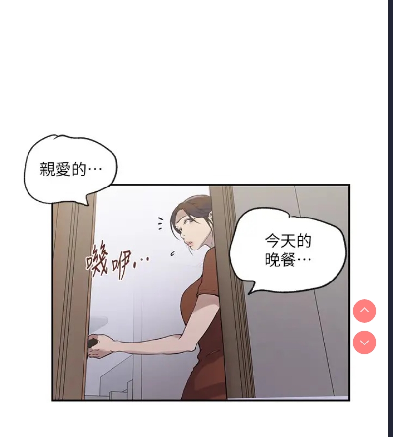 秘密教学