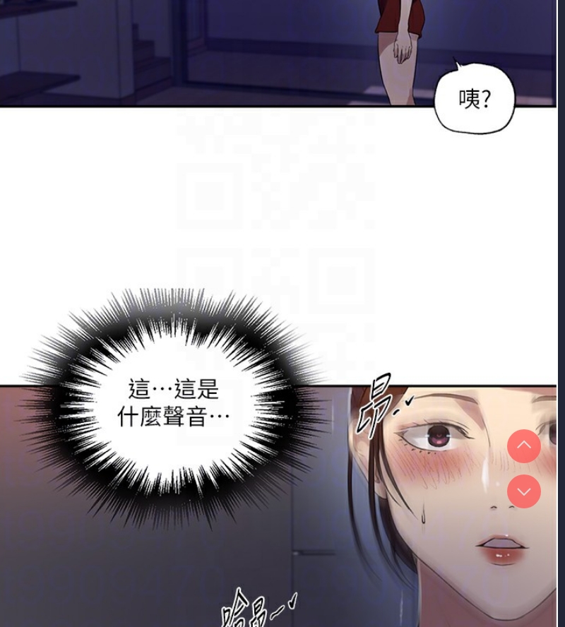 秘密教学
