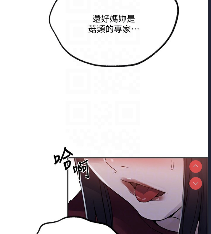 秘密教学