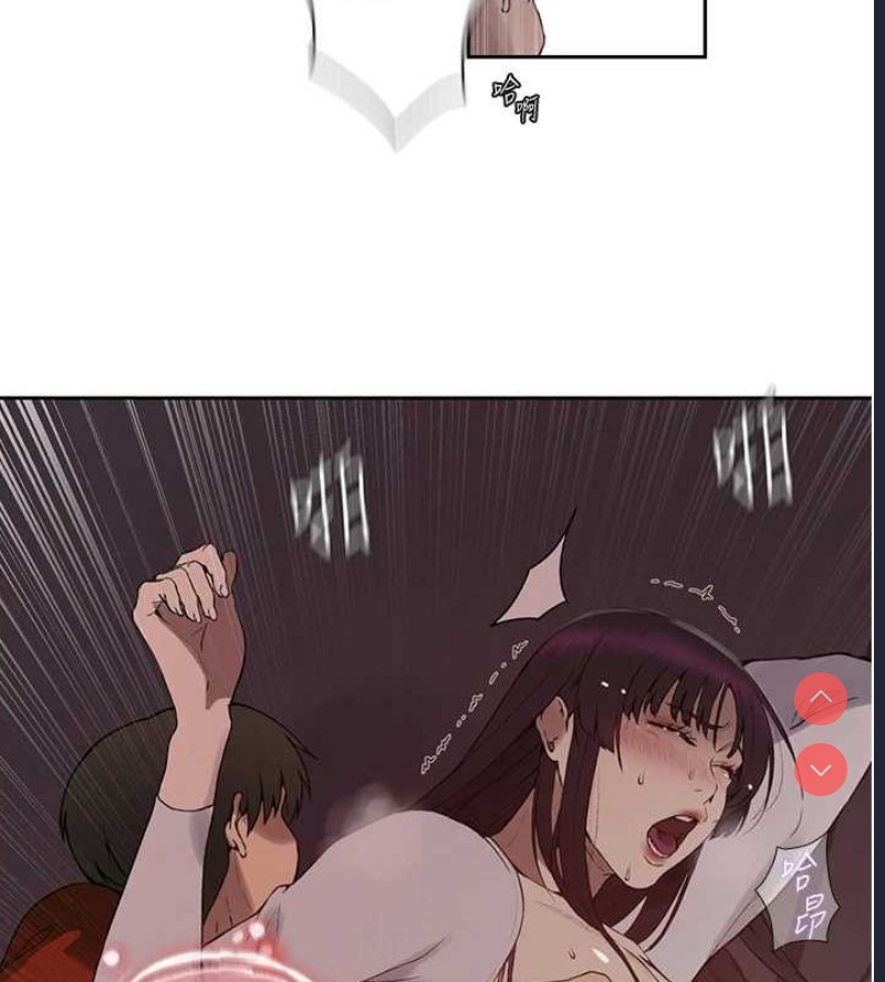 秘密教学
