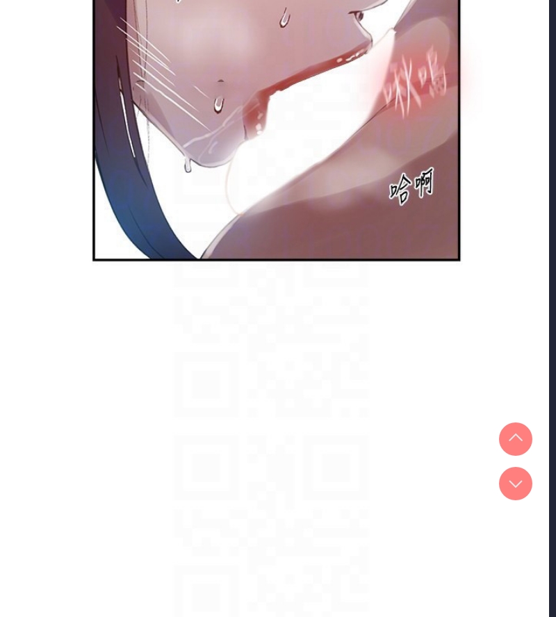 秘密教学
