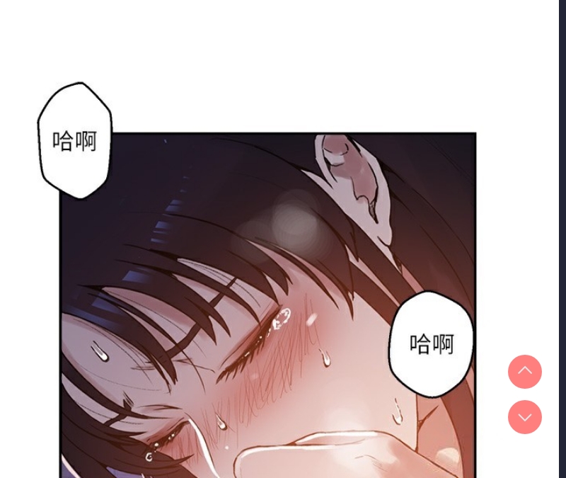秘密教学