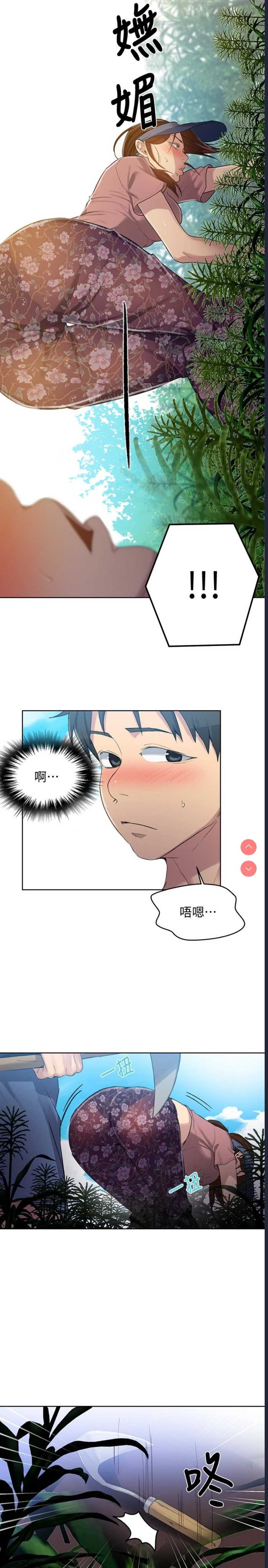 秘密教学