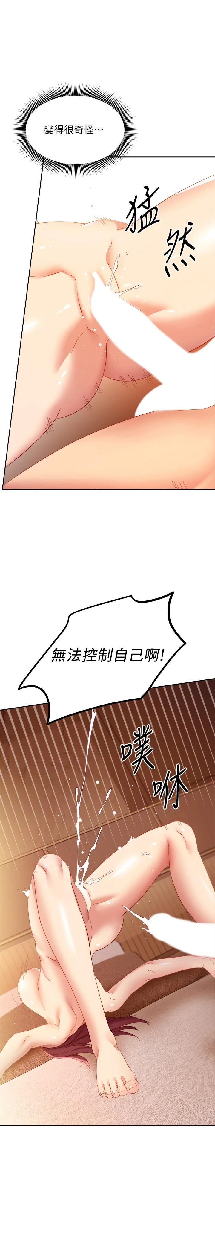 继母的朋友们
