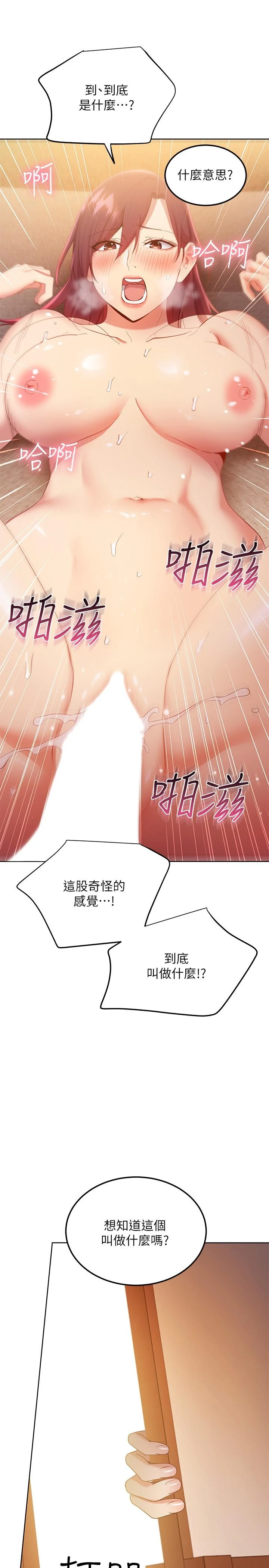 继母的朋友们