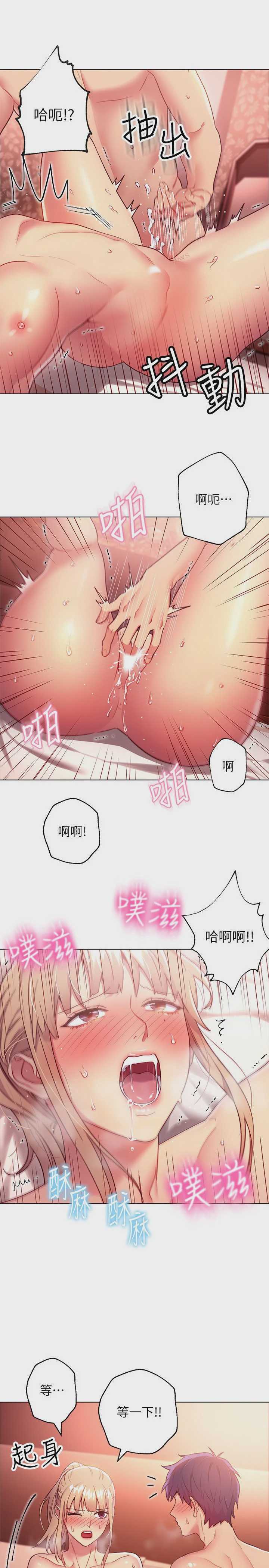 继母的朋友们