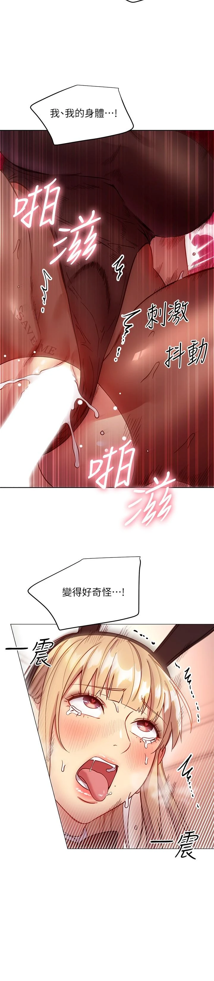 继母的朋友们