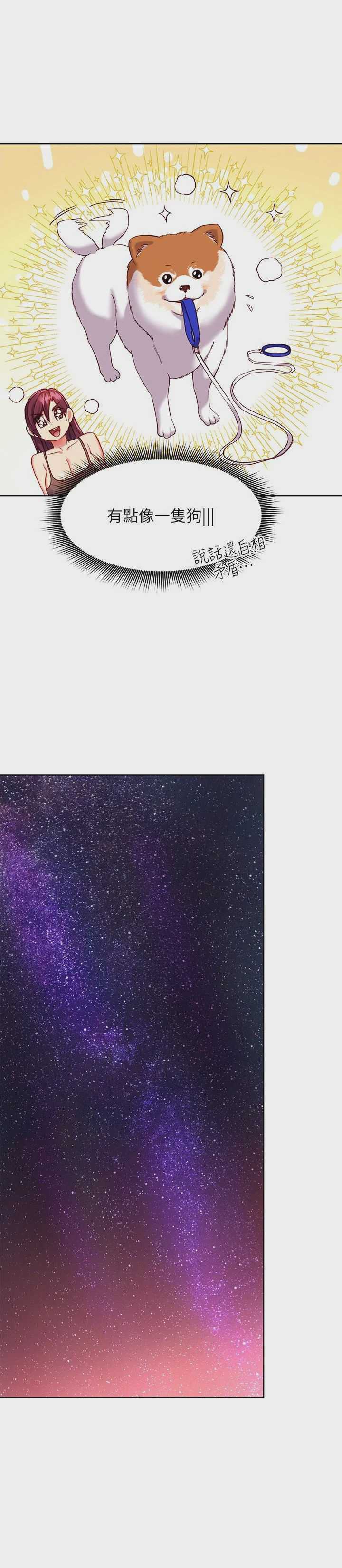 继母的朋友们