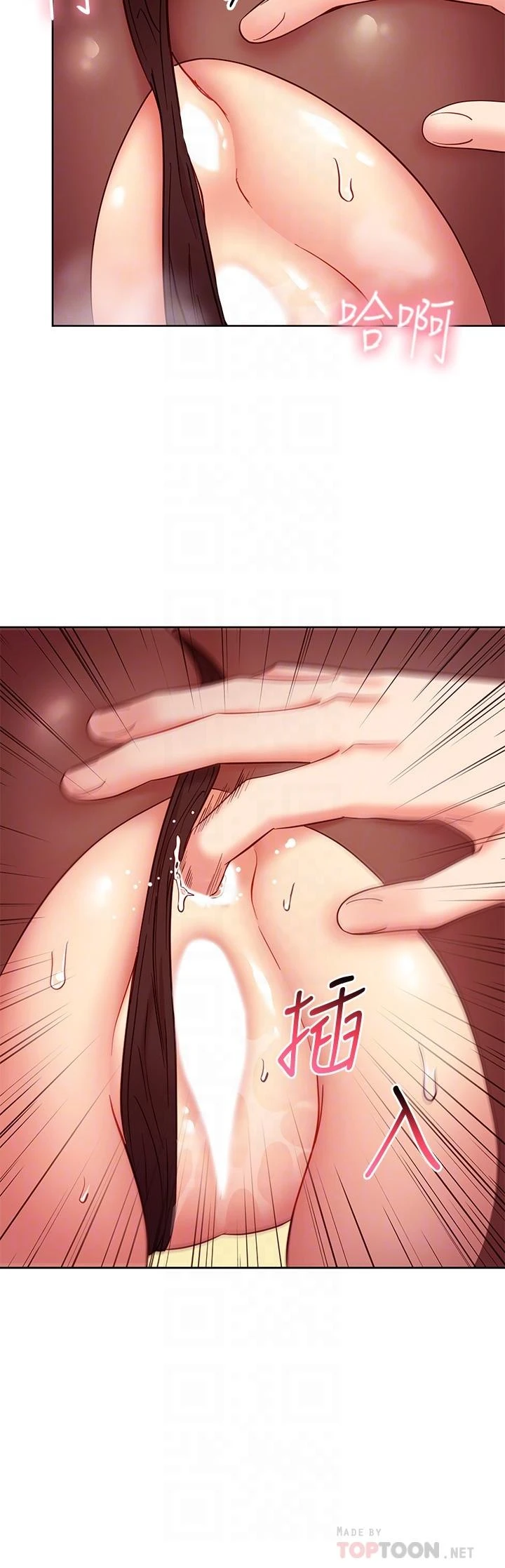 继母的朋友们