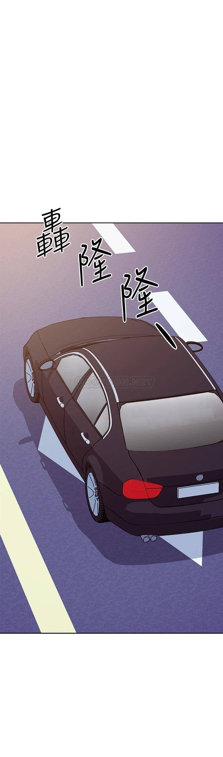 继母的朋友们