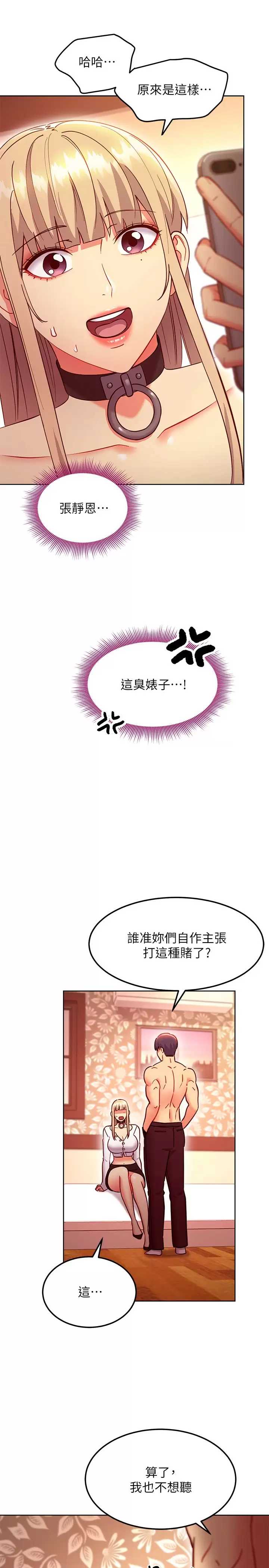 继母的朋友们