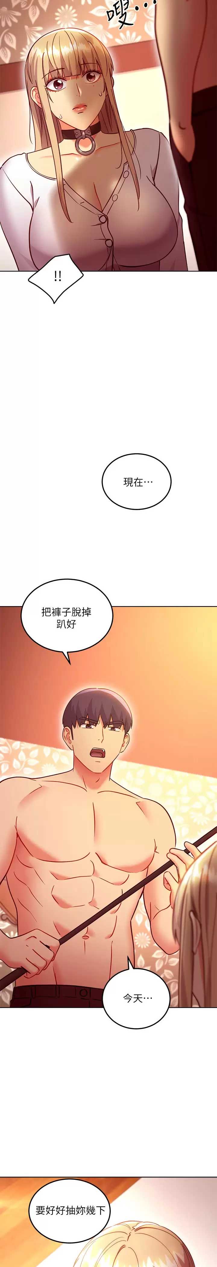 继母的朋友们