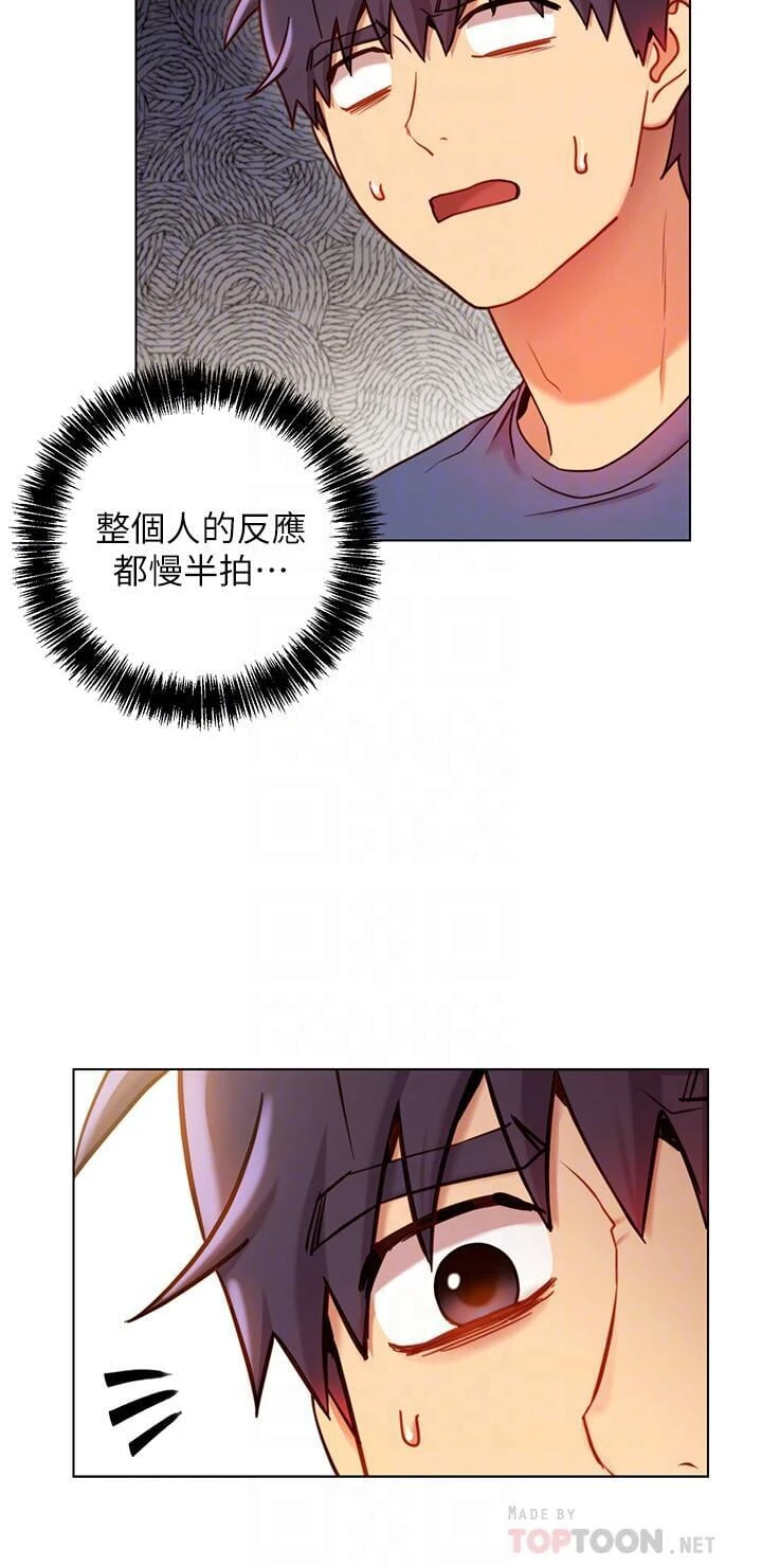 继母的朋友们