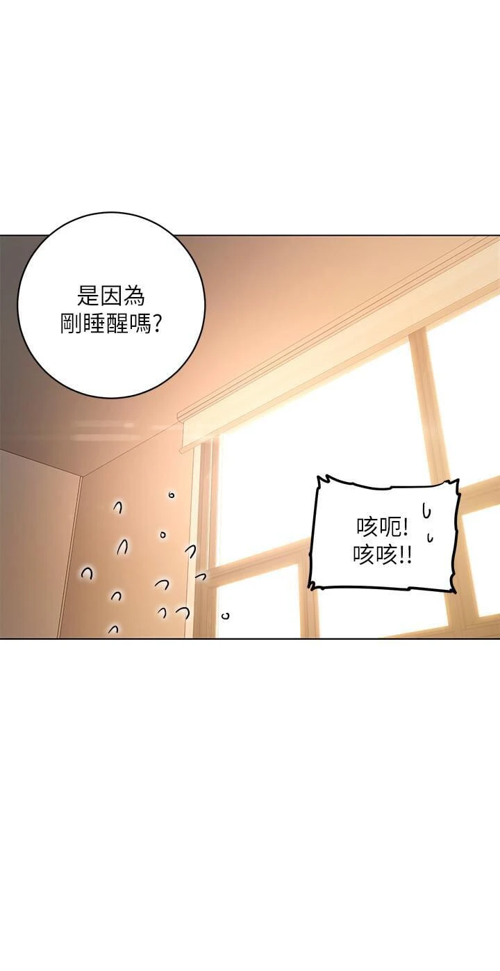 继母的朋友们