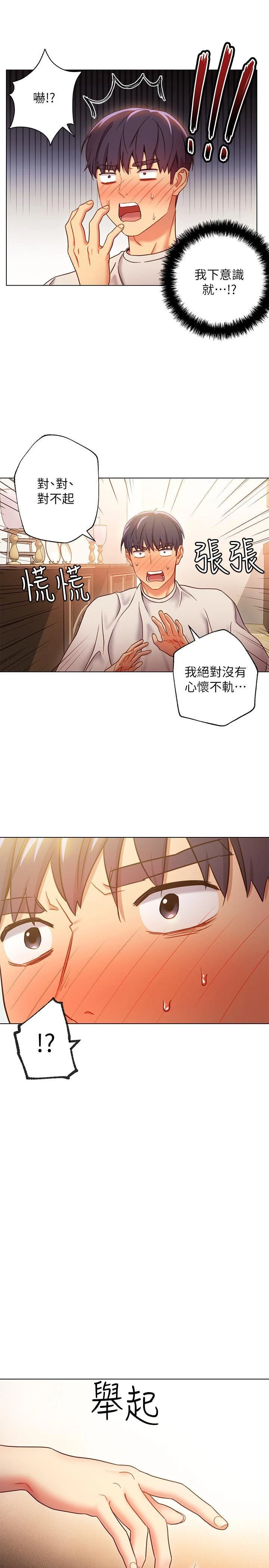 继母的朋友们