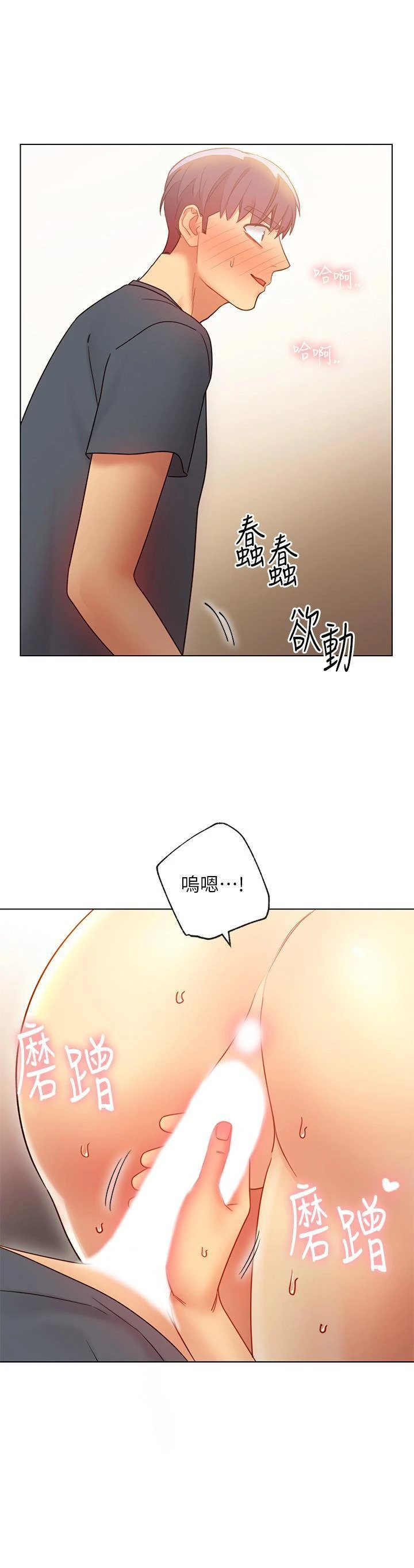 继母的朋友们