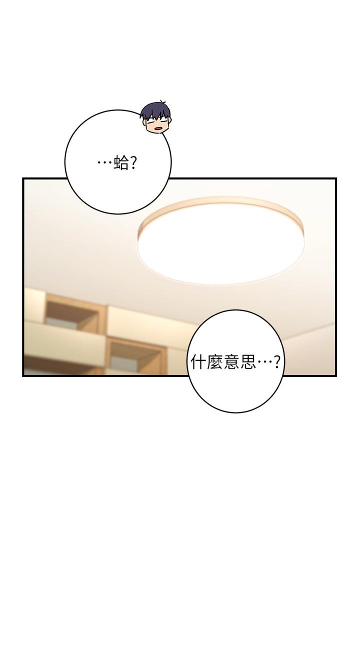 继母的朋友们