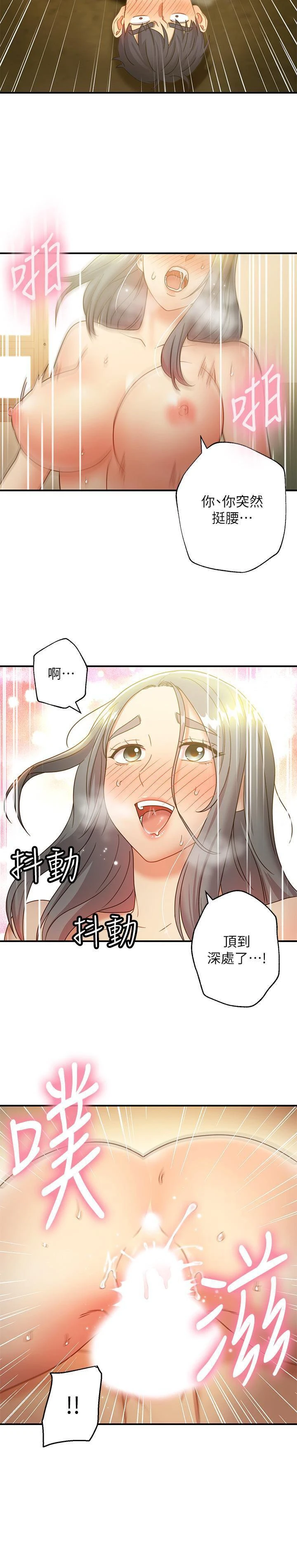 继母的朋友们