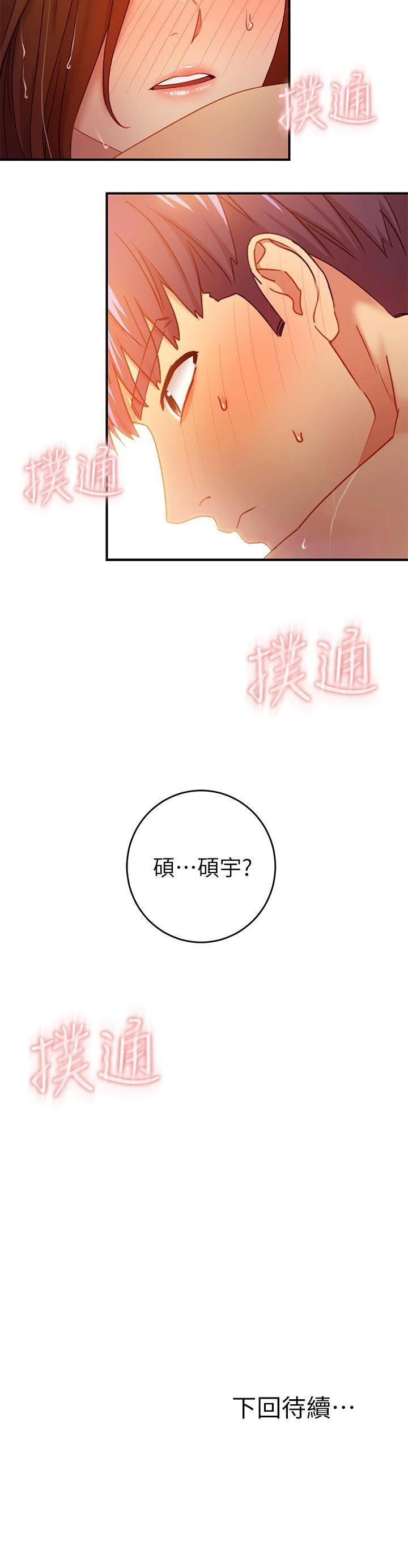 继母的朋友们