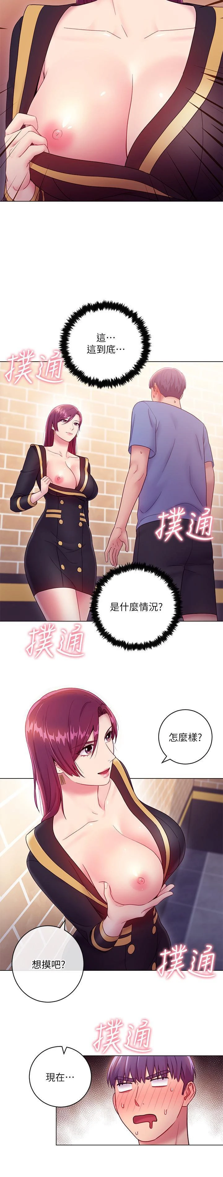 继母的朋友们