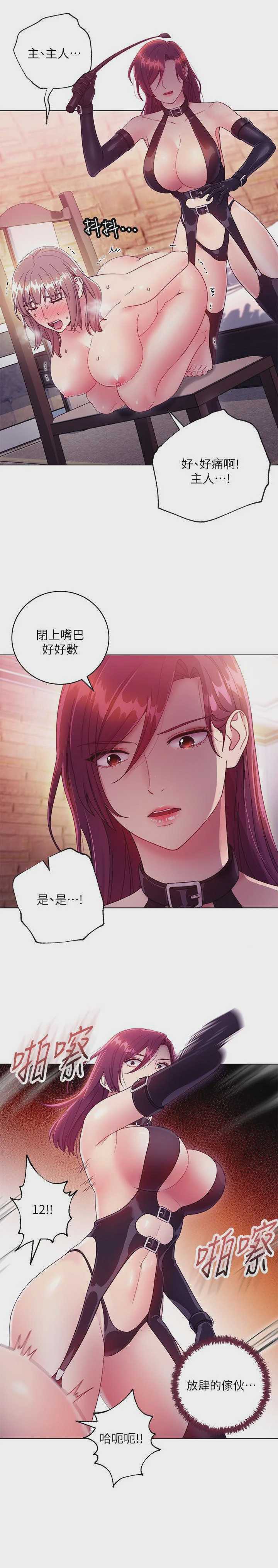 继母的朋友们