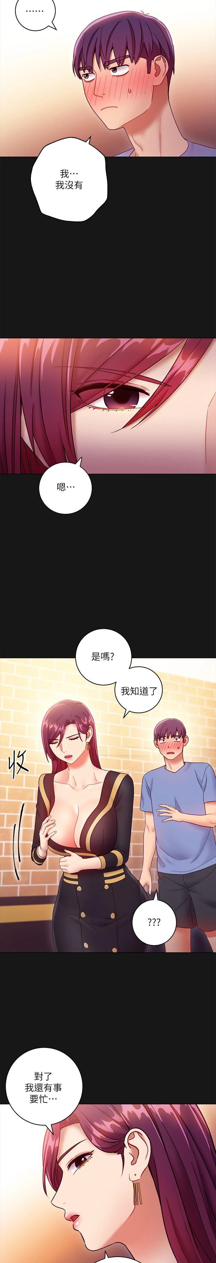 继母的朋友们