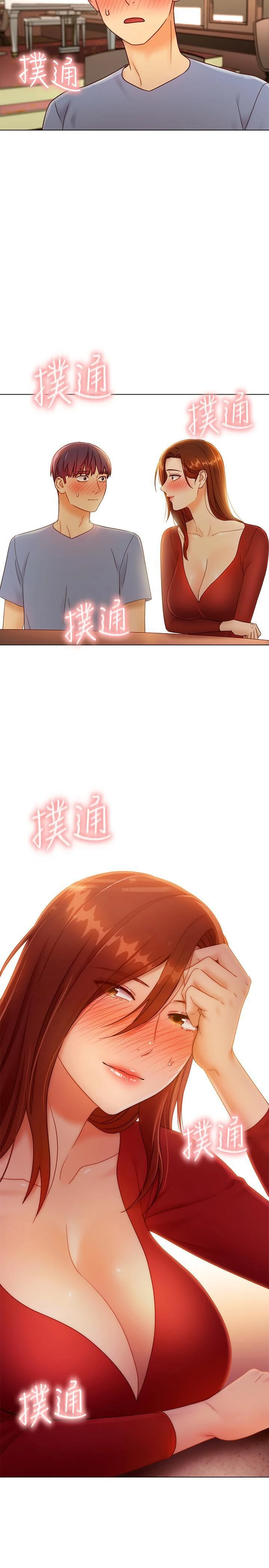 继母的朋友们