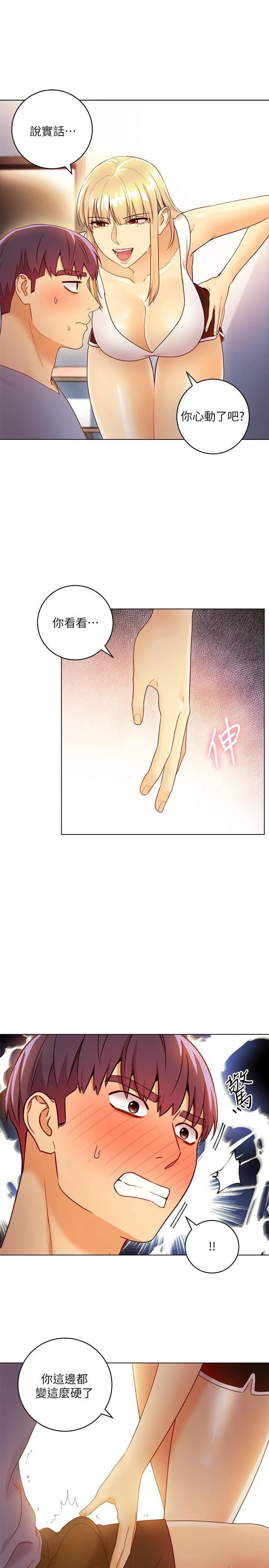 继母的朋友们