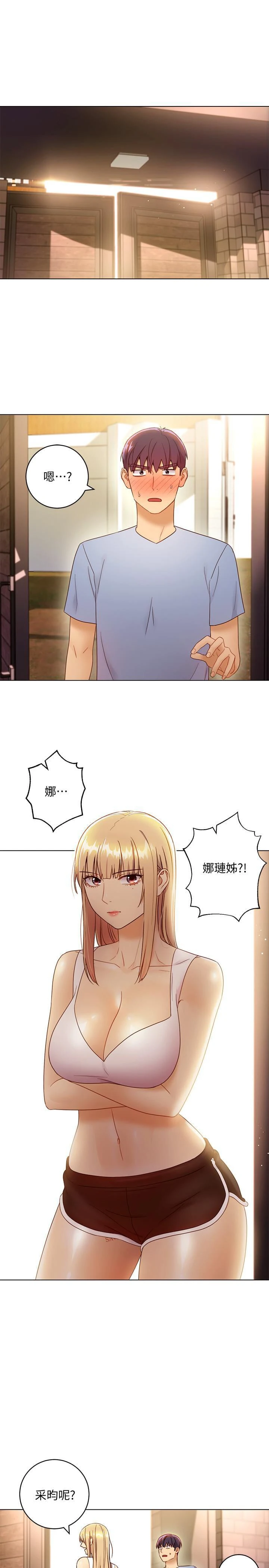 继母的朋友们