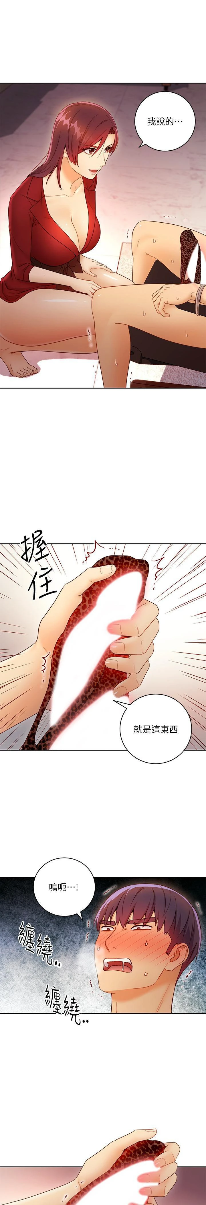 继母的朋友们