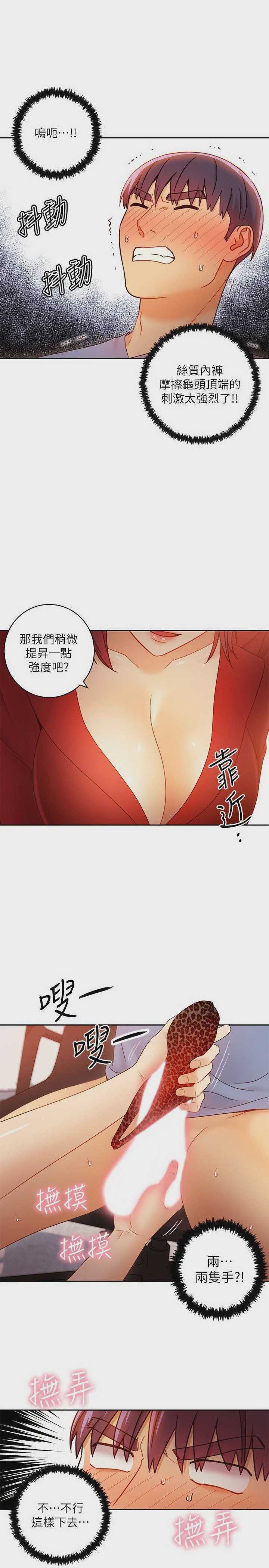 继母的朋友们