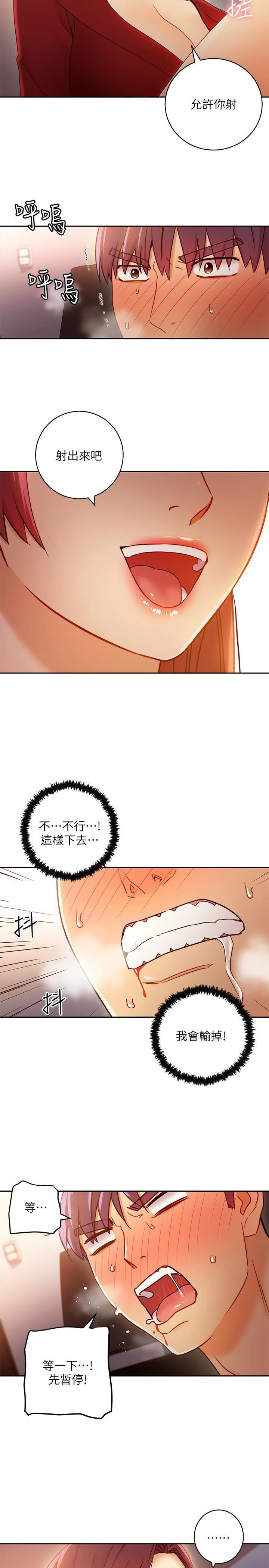 继母的朋友们