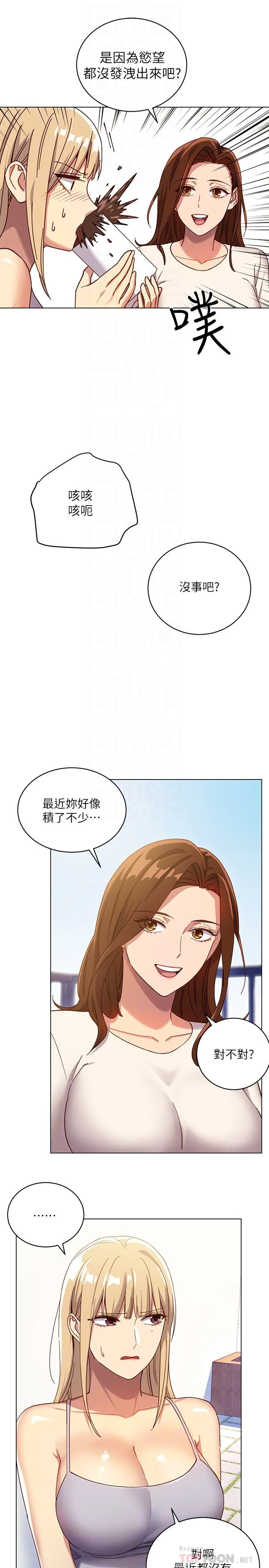 继母的朋友们