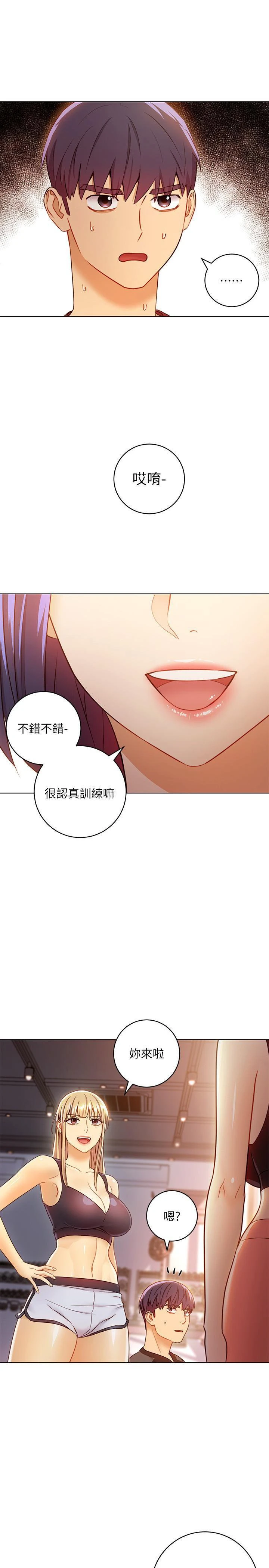 继母的朋友们