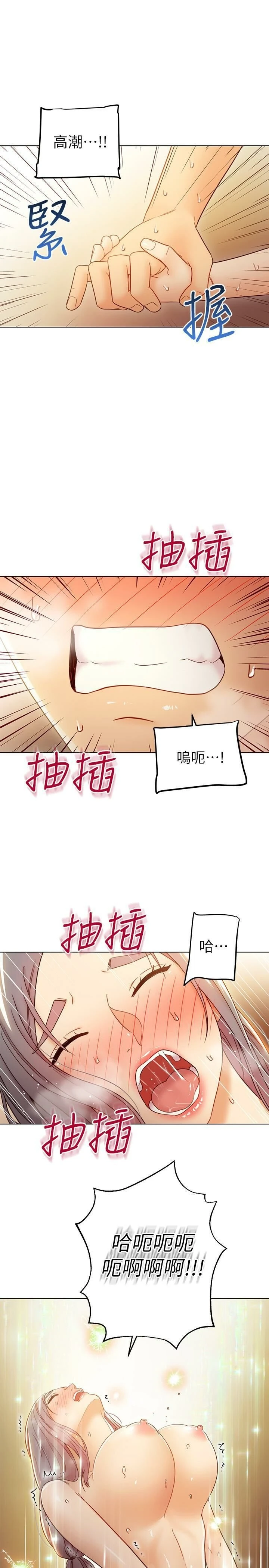 继母的朋友们