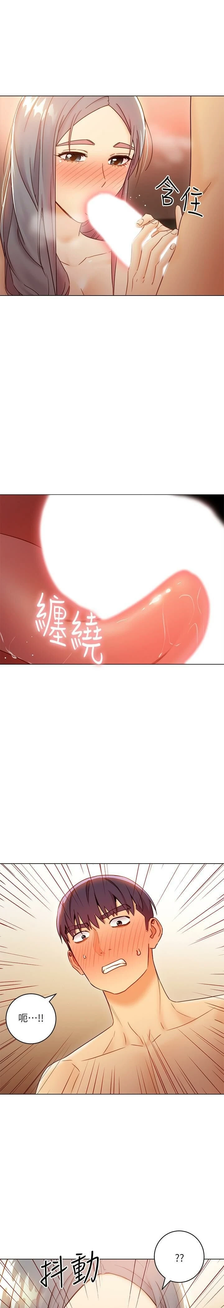 继母的朋友们