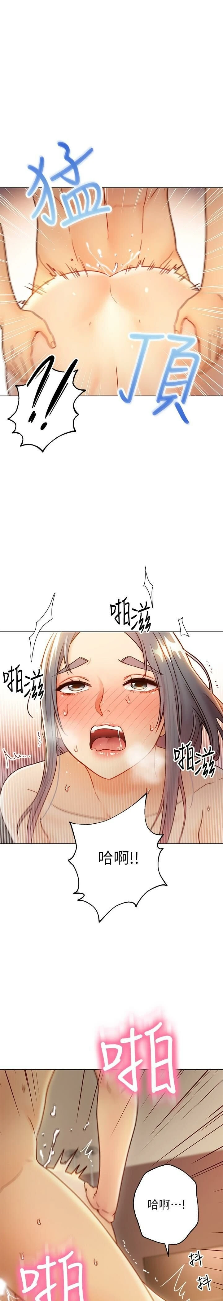 继母的朋友们
