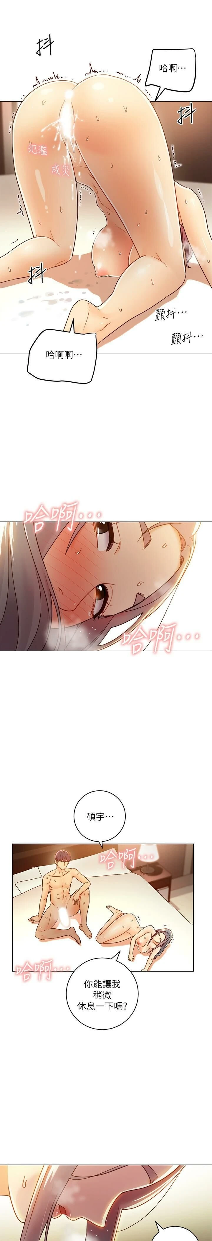 继母的朋友们