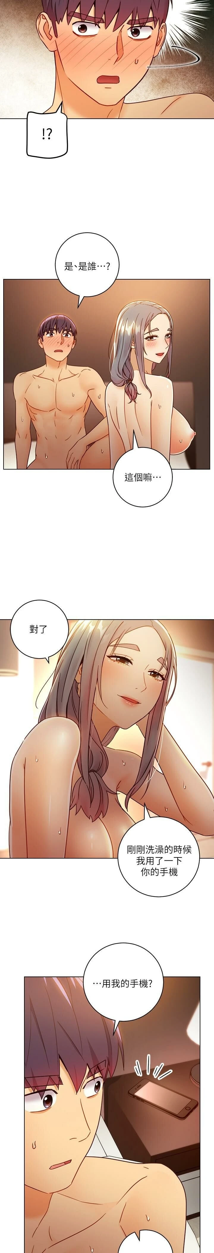 继母的朋友们