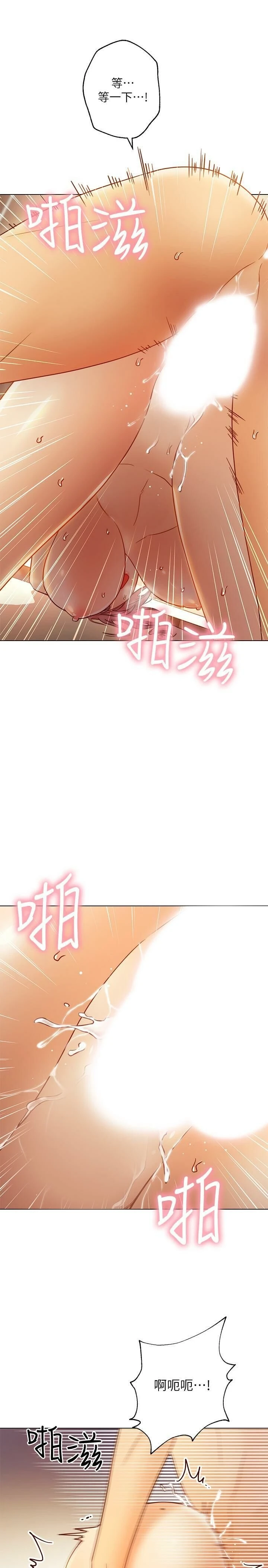 继母的朋友们