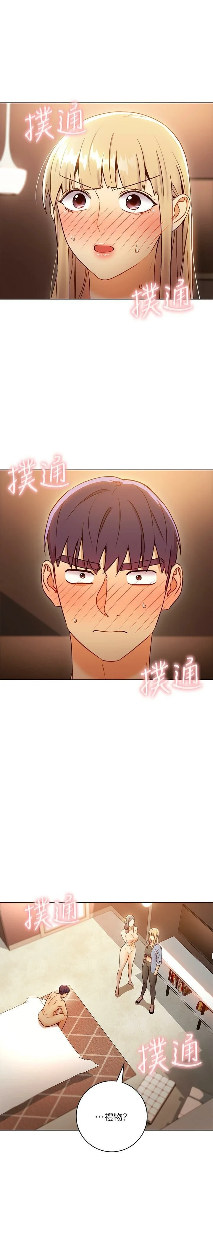 继母的朋友们