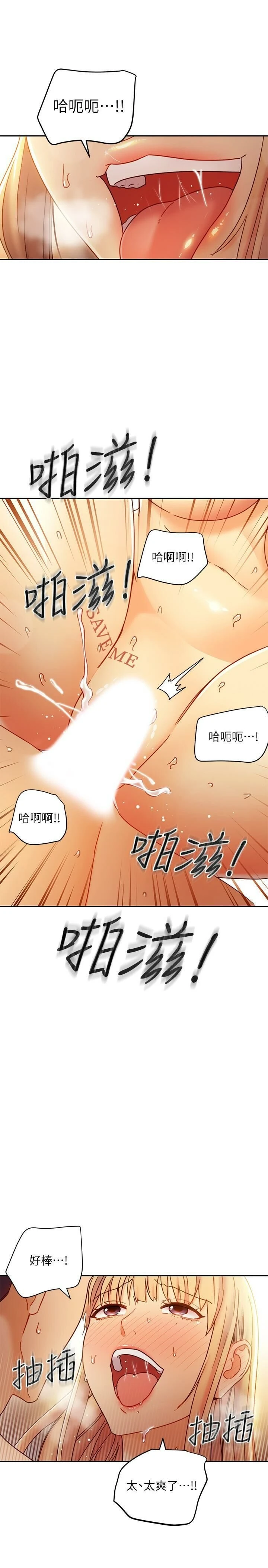 继母的朋友们