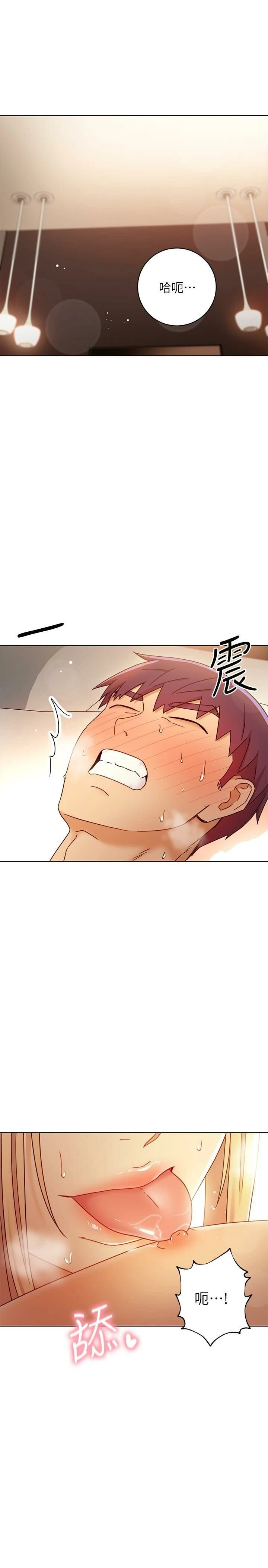 继母的朋友们