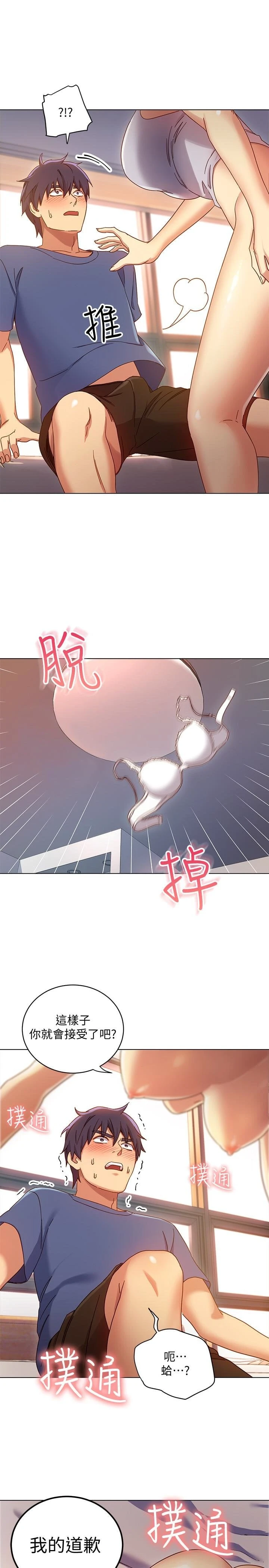 继母的朋友们