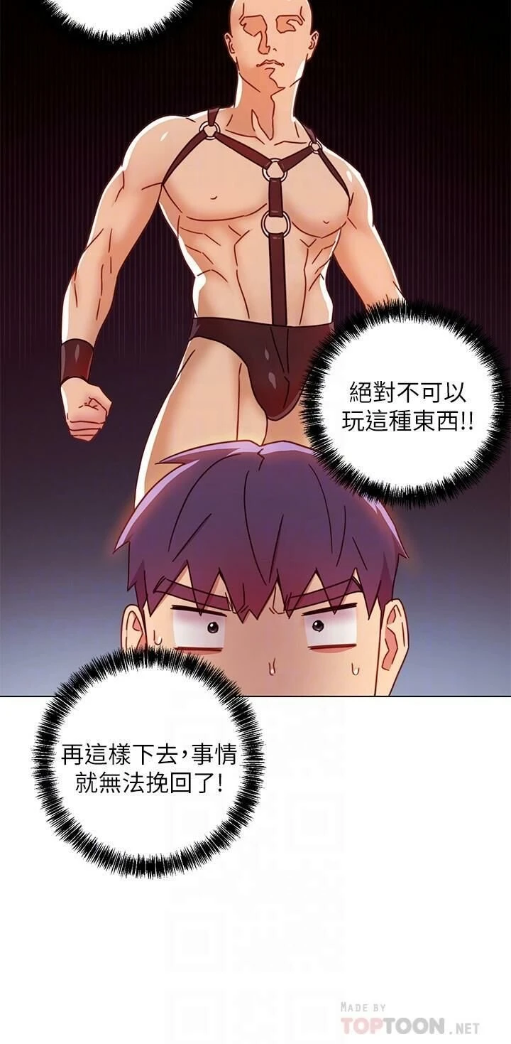继母的朋友们