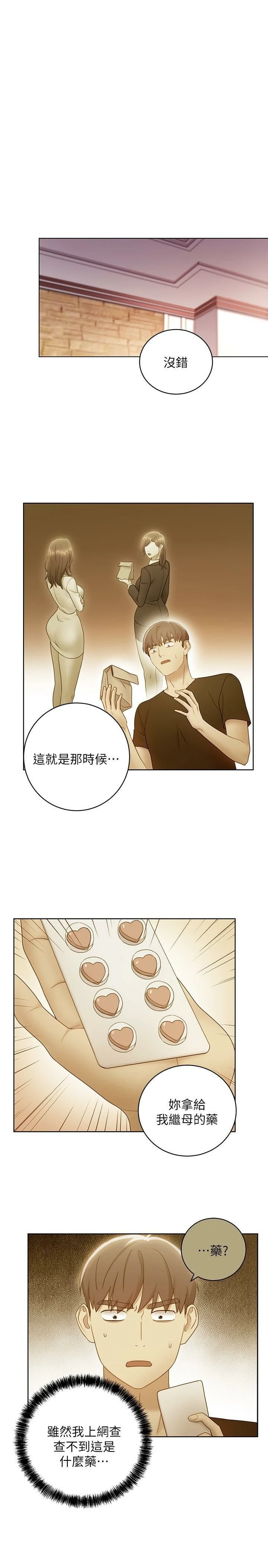 继母的朋友们