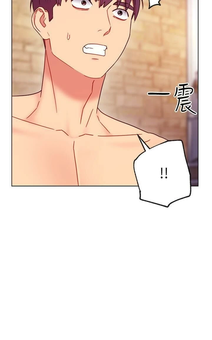继母的朋友们
