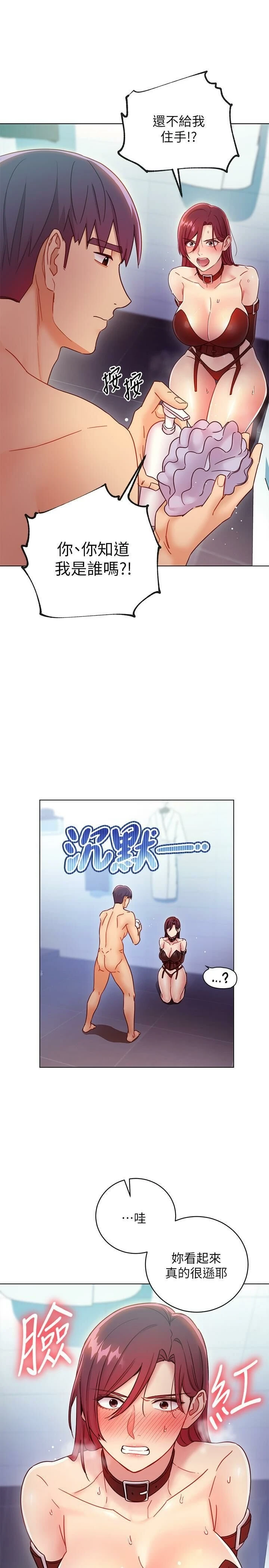 继母的朋友们