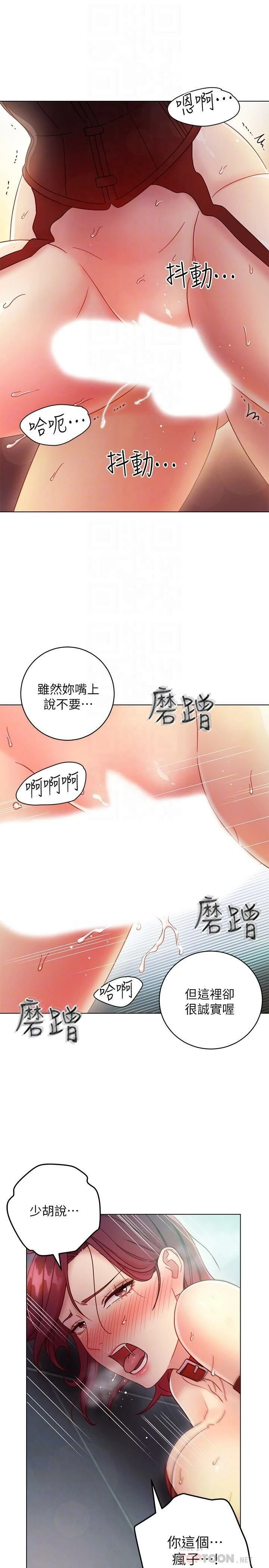 继母的朋友们